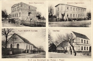 Dąbcze widokowa - Reprodukcja 25733