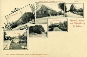 Dąbcze widokowa - Reprodukcja 25734