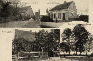 Długie Nowe - Reprodukcja 25735