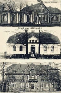 Długie Stare - Reprodukcja 25739