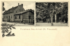 Koczury widokowa - Reprodukcja 25752