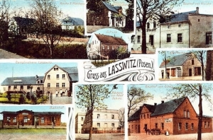 Lasocice widokowa - Reprodukcja 25762