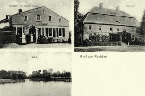 Rojęczyn widokowa - Reprodukcja 25770