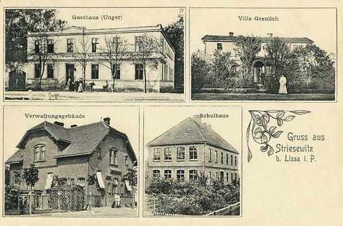 nowe-25773.jpg