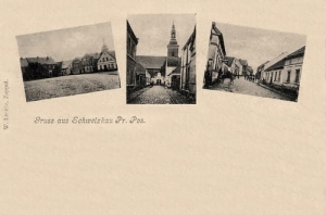 Święcichowa widokowa - Reprodukcja 25774