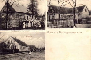 Tarnowa Łąka - Reprodukcja 25781