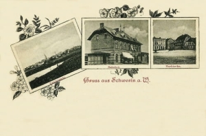 Skwierzyna widokowa - Reprodukcja 25809