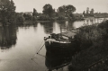 nowe-25836.jpg