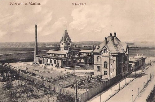 nowe-25842.jpg