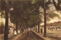nowe-25857.jpg