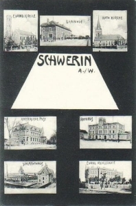 Skwierzyna widokowa - Reprodukcja 25866