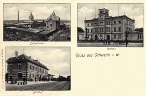 Skwierzyna widokowa - Reprodukcja 25870