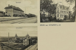 Skwierzyna widokowa - Reprodukcja 25871