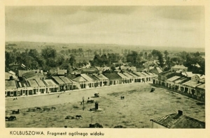 Kolbuszowa panorama - Reprodukcja 25886
