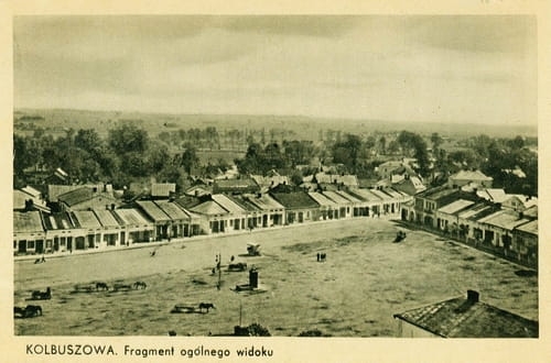 nowe-25886.jpg