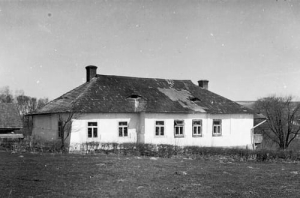 Tyczyn Dwór - Reprodukcja 25900