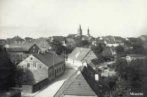 Międzyrzecz panorama - Reprodukcja 25920