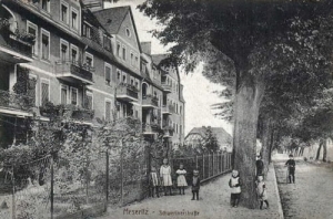 Międzyrzecz Schweinerstr. - Reprodukcja 25977