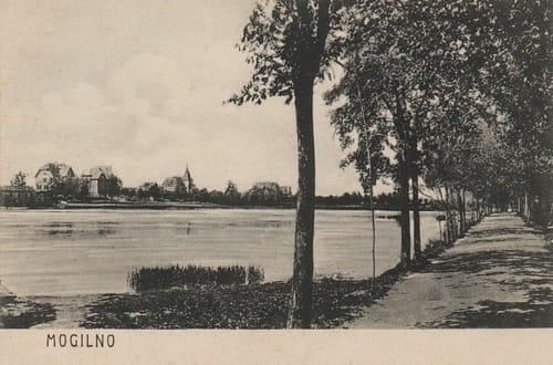 nowe-26003.jpg