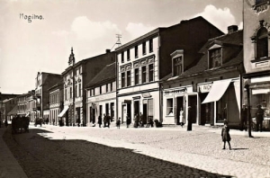 Mogilno - Reprodukcja 26022