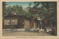 nowe-26057.jpg