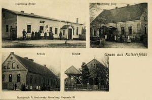 Dąbrowa widokowa - Reprodukcja 26060