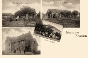 Krzywe Kolano - Reprodukcja 26068