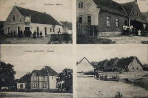Strzelce widokowa - Reprodukcja 26080