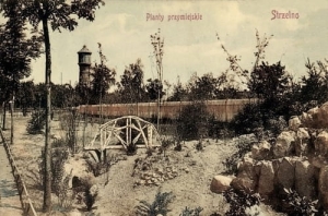 Strzelno Planty - Reprodukcja 26092