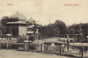 Poznań Ogród Zoologiczny - Reprodukcja 5444