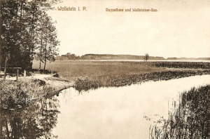 Wolsztyn - Reprodukcja 26130