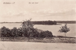 Wolsztyn - Reprodukcja 26131