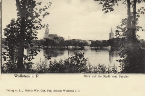 Wolsztyn panorama - Reprodukcja 26143