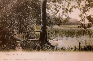 Wolsztyn - Reprodukcja 26145