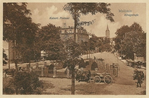 nowe-26148.jpg