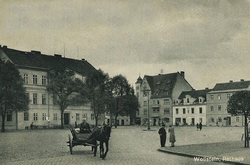 nowe-26161.jpg