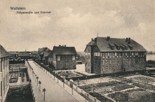 nowe-26194.jpg