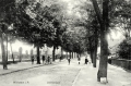 nowe-26196.jpg
