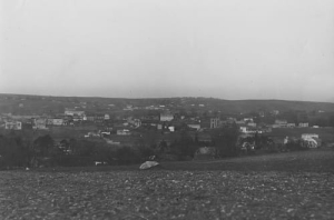 Olkusz panorama - Reprodukcja 26216