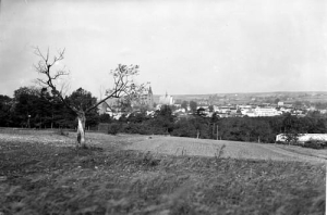 Olkusz panorama - Reprodukcja 26219