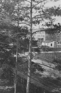 Olkusz - Reprodukcja 26220