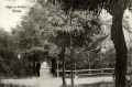 nowe-26268.jpg