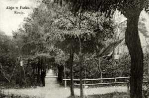 Konin park - Reprodukcja 26268