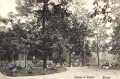 nowe-26269.jpg