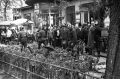 nowe-26294.jpg
