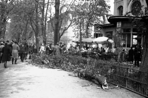 Kraków Planty - Reprodukcja 26298