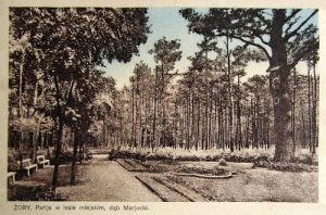 Żory Las miejski - Reprodukcja 26349