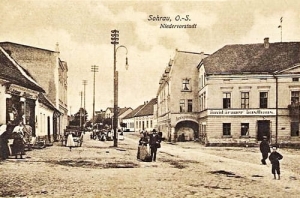 Żory - Reprodukcja 26356