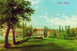 Żory Pałac - Reprodukcja 26358