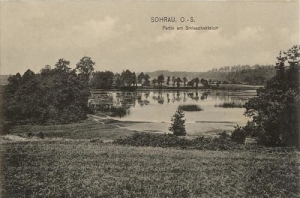 Żory - Reprodukcja 26379